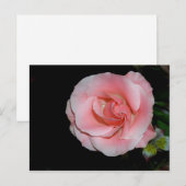 Roze Roos Aankondiging Ansichtkaart (Voorkant / Achterkant)