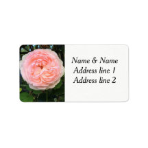 Roze roos adresetiketten