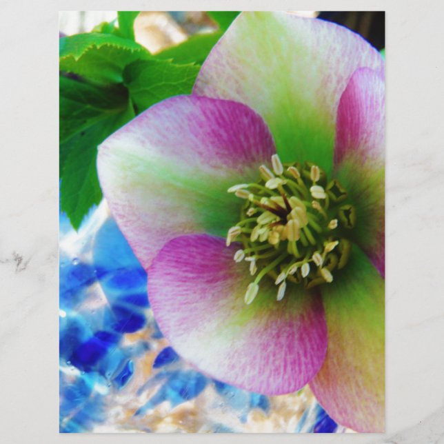 Roze Roos blauwe glazen bol (Voorkant)