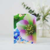 Roze Roos blauwe glazen bol Briefkaart (Staand voorkant)