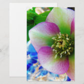 Roze Roos blauwe glazen bol Briefpapier (Voorkant / Achterkant)