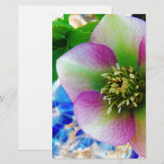 Roze Roos blauwe glazen bol Briefpapier (Voorkant / Achterkant)