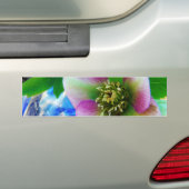 Roze Roos blauwe glazen bol Bumpersticker (Op auto)