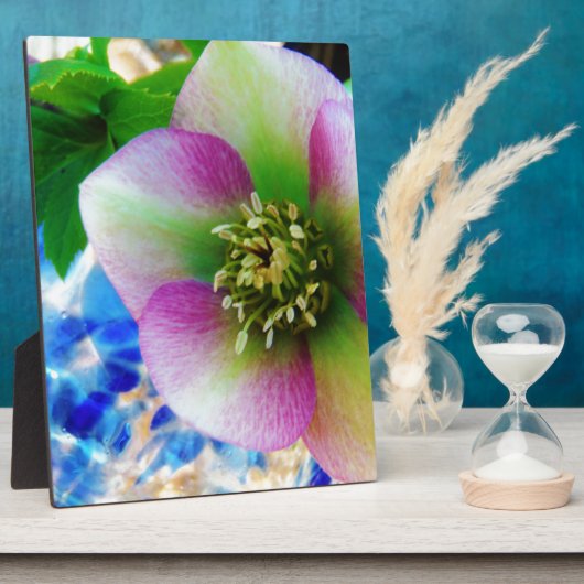 Roze Roos blauwe glazen bol Fotoplaat (Zijkant)