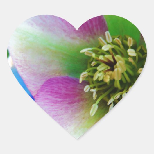 Roze Roos blauwe glazen bol Hart Sticker (Voorkant)