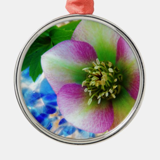 Roze Roos blauwe glazen bol Metalen Ornament (Voorkant)