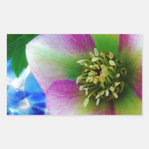 Roze Roos blauwe glazen bol Rechthoekige Sticker