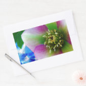 Roze Roos blauwe glazen bol Rechthoekige Sticker (Envelop)