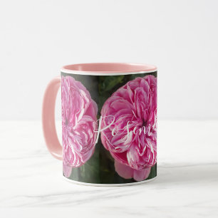 Roze  Roos Bloedflacon Foto Mok