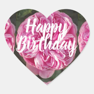 Roze Roos Bloedfloreel Happy Birthday Hart Sticker