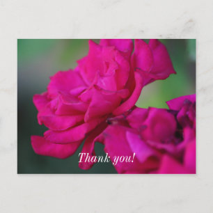 Roze Roos Bloeiend Bedankkaartje Briefkaart