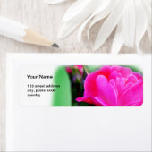 Roze roos bloem adres label (Insitu)