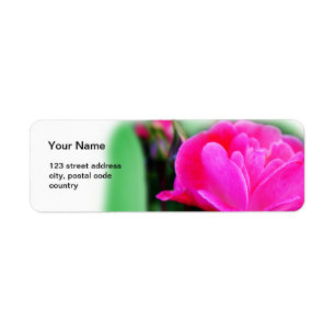 Roze roos bloem adres label