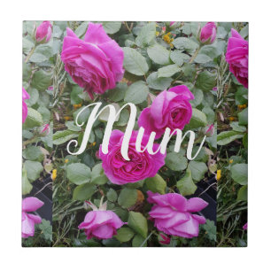 Roze  Roos Bloem Birthday Mum Trink Tegeltje