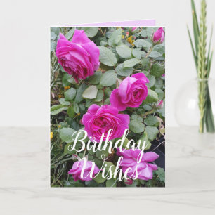 Roze  Roos Bloem Bloemen Verjaardag Kaart