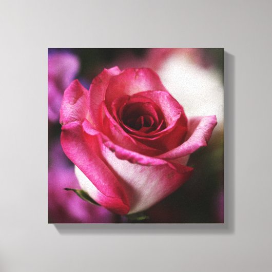 Roze Roos Bloem Bloemstuk Canvas Afdruk (Voorkant)