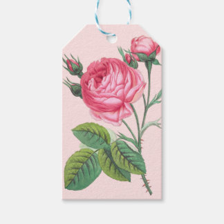 Roze roos bloem cadeautag cadeaulabel