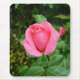roze roos bloem muismat