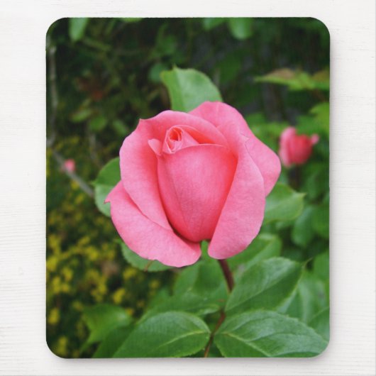 roze roos bloem muismat (Voorkant)