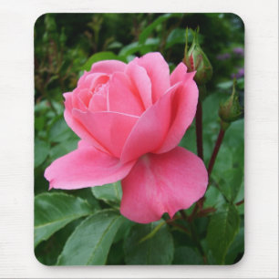 roze roos bloem muismat