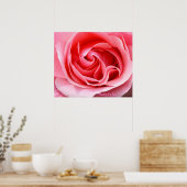 Roze Roos Bloem Print Schoonheid van een Roos (Keuken)