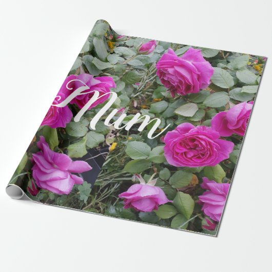 Roze Roos Bloem Verjaardag Cadeaupapier (Uitgerold)