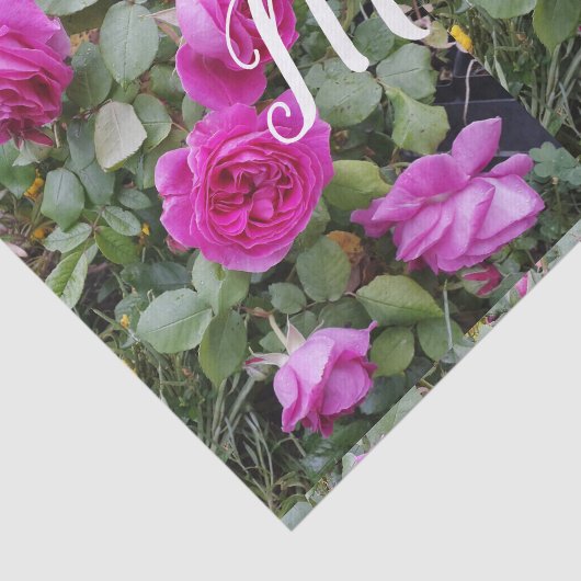  Roze  Roos Bloem Verjaardag Tissuepapier (Detail)