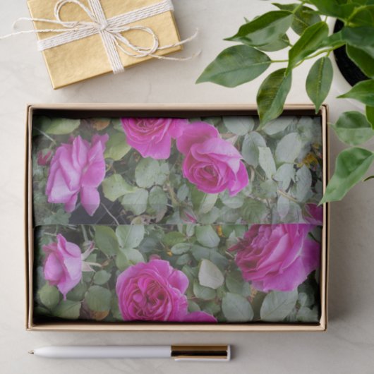 Roze Roos Bloem Verjaardag Tissuepapier (Geschenk)