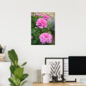 Roze Roos Bloemen Bloem Tuin John Hopper Poster (Thuiskantoor)