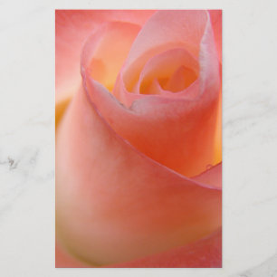 Roze Roos Bloemen Briefpapier Bloem Motief Aanpass