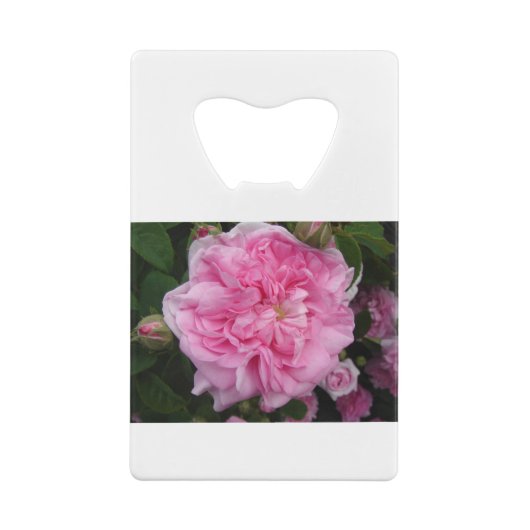 Roze  Roos bloemen Creditkaart Flessenopener (Achterkant)
