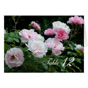 Roze roos bloemen eettafel nummertje.