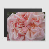 Roze Roos  bloemen Floral Magnet (Voorkant / Achterkant)