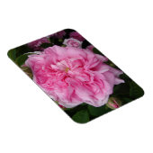 Roze Roos bloemen Fridge Magnet Magneet (Rechterzijde)