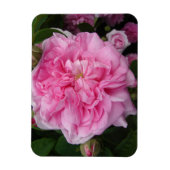 Roze Roos bloemen Fridge Magnet Magneet (Verticaal)