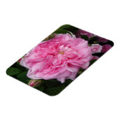 Roze Roos bloemen Fridge Magnet Magneet (Linkerzijde)