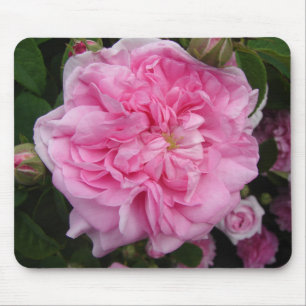 Roze  Roos bloemen Muismat