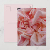 Roze Roos  bloemen Verjaardagkaart Ma Briefkaart (Voorkant / Achterkant)