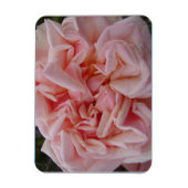 Roze Roos  bloemen Verjaardagkaart Magneet (Verticaal)