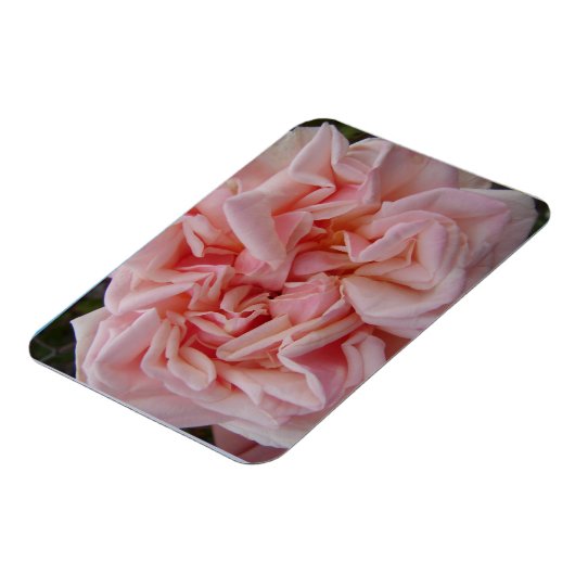 Roze Roos  bloemen Verjaardagkaart Magneet (Linkerzijde)