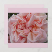 Roze Roos  bloemen Vloeibare Kaart (Voorkant / Achterkant)