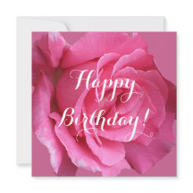 roze roos bloemenaanpasbare Angela naam