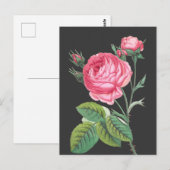 Roze roos bloemend modern briefkaart (Voorkant / Achterkant)