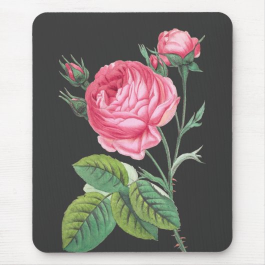 Roze roos bloemend modern muismat (Voorkant)
