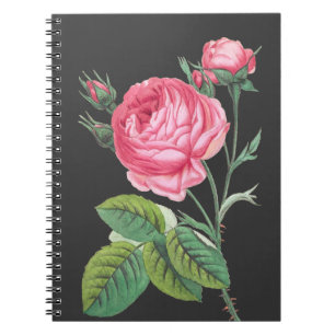 Roze roos bloemend modern notitieboek