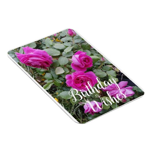  roze  Roos Bloemkaart Magneet (Rechterzijde)