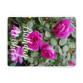  roze  Roos Bloemkaart Magneet (Horizontaal)
