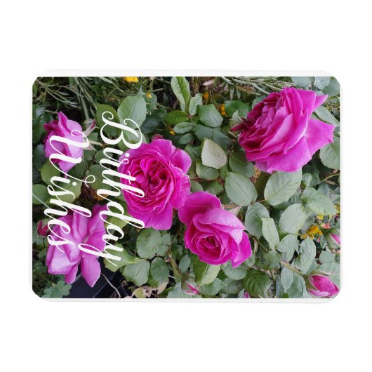  roze  Roos Bloemkaart Magneet (Horizontaal)