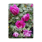  roze  Roos Bloemkaart Magneet (Verticaal)