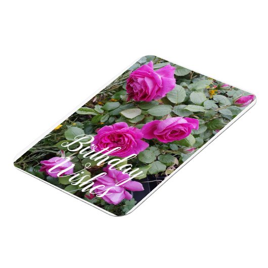  roze  Roos Bloemkaart Magneet (Linkerzijde)